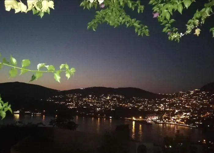 Sea View Bougainvillea 52