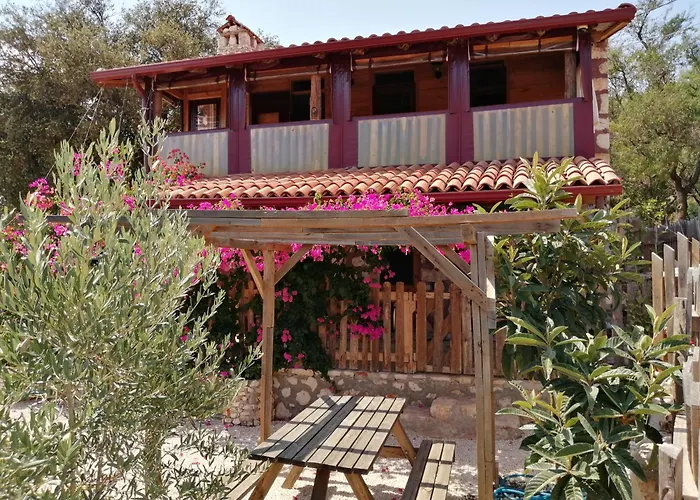 Private Restored Stone House With Terrace And Gardens